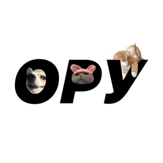 оруіору - TgScanner