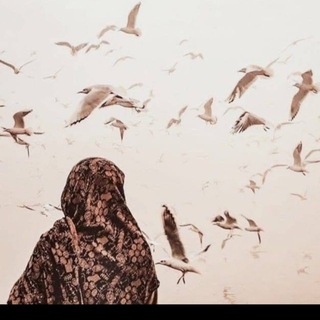 رُوينَّـه. - TgScanner