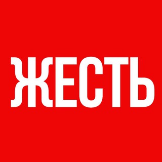 ЖЕСТЬ ВИДЕО | ЧП 18+ - TgScanner