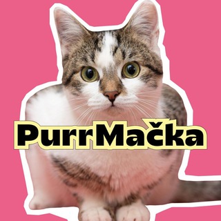 PurrMačka - TgScanner