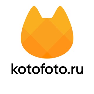 Telegram频道 "Kotofoto 🔸 Котофото 🔸 добрый магазин" @kotofoto 的头像