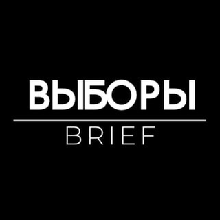 Выборы Brief - TgScanner