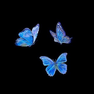 Seivsky🌒 - TgScanner