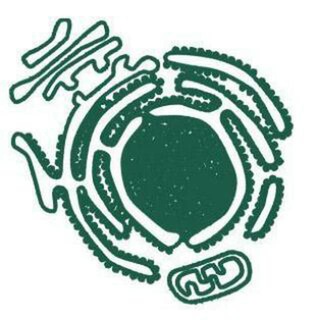 hujayra.uz - TgScanner