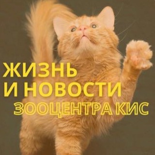 Жизнь Зооцентра КиС🦮🐈 - TgScanner