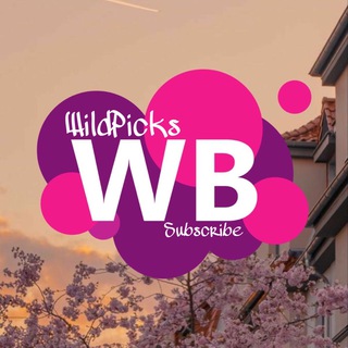 WildPicks | Подборки wildberries - TgScanner