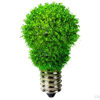 Дачные советы 🏡 - TgScanner