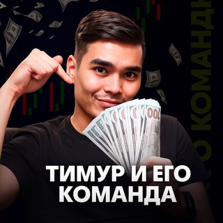 Тимур и его команда - TgScanner