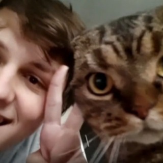 Аватар Телеграм канала "Колючая хатка / Както" @cacto0o