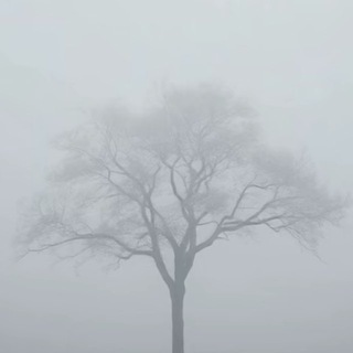 MIRACLE - TgScanner