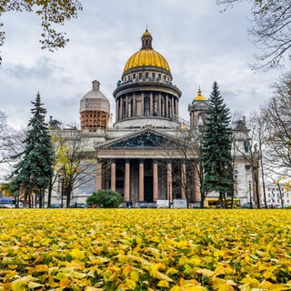 Avatar of Telegram channel "Новости Санкт-Петербург" @novosti_spbrf