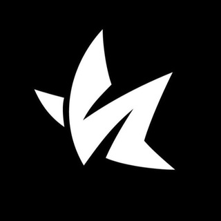 AGR media - TgScanner