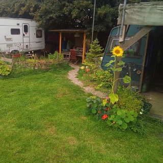 Avatar of Telegram channel "Pirate's Off Grid Homestead" @piratesoffgridhomestead
