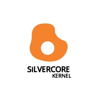 SilverCore Kernel // Discussion // - TgScanner