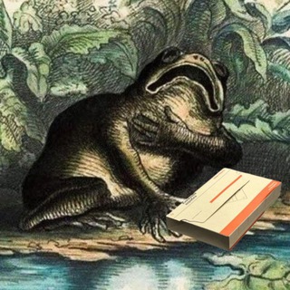 Avatar del canal de Telegram "Дайджест книжкових акцій 📚🦅" @nemagroshey