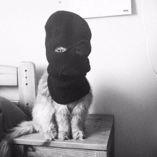 Счастливые женщины постят - TgScanner