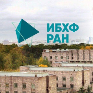 Avatar del canal de Telegram "ИБХФ РАН. Новости" @ibcp_ras_news