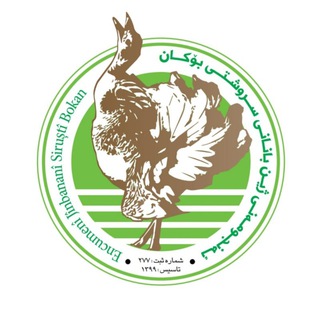 Avatar of Telegram channel "ژینبانان سروشت بوکان" @zhinbanan_srushti_boukan