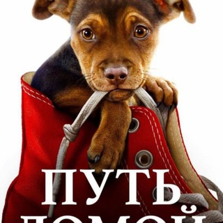 Аватар Телеграм канала "ПУТЬ ДОМОЙ Бронницы 🦮🐈‍⬛️ приют" @+EMuAjRvUSKowMmRi
