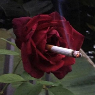 Avatar of Telegram channel "cursed files🥀" @+i6PMo-YJE7g4YjEy