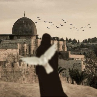 Avatar of Telegram channel "سنعبُر بالإسلام" @islamh2123