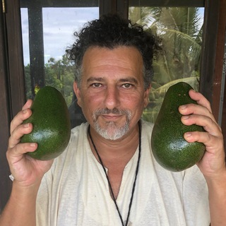 Avatar of Telegram channel "David Avocado Wolfe" @davidavocadowolfe