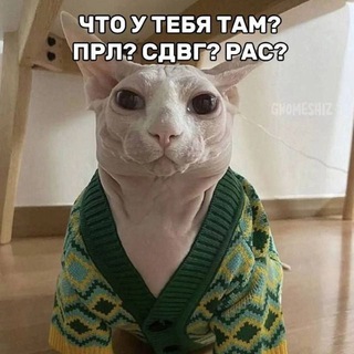 Аватар Телеграм каналу "прл в схемах и мемах🤍🖤" @bpdrofls