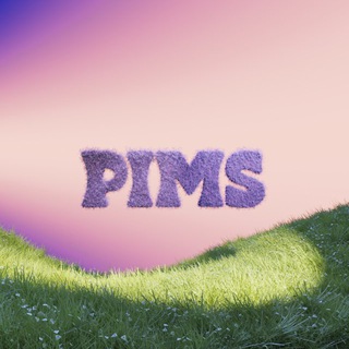PIMS CLUB - TgScanner