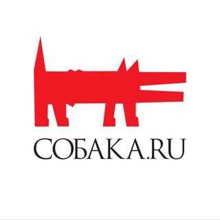 Аватар Телеграм канала "НН.Собака.ru" @nn_sobaka_ru