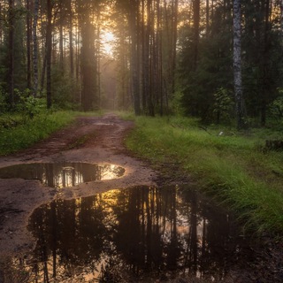 Ваше фото - TgScanner