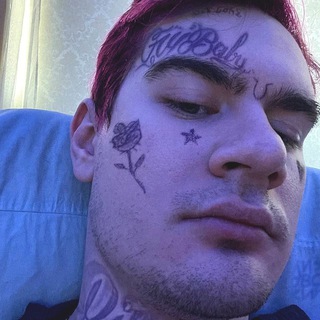 Логово Внизу - TgScanner