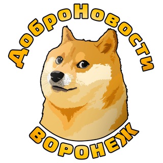 ДоброНовости Воронеж - TgScanner