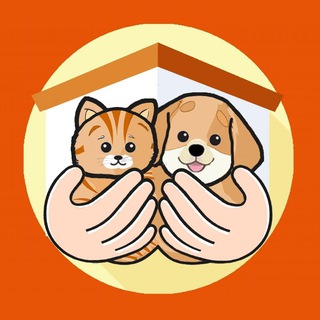 Avatar del canal de Telegram "Помощь Приютам (Хатико)" @pomosh_priytam