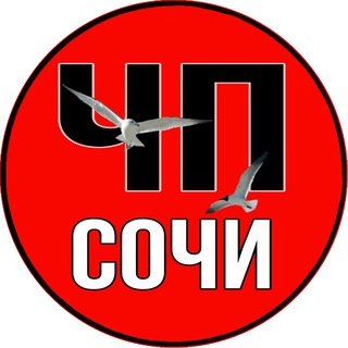 Avatar of Telegram channel "ЧП СОЧИ | ТОП 🌴" @chpsochi_top