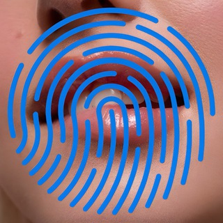 Soylok + - TgScanner