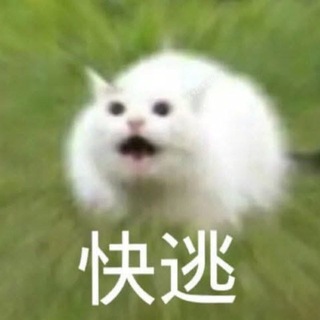 Telegram频道 "友善迷因群" @a948794879487 的头像