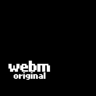 WebM⚡️Original - TgScanner