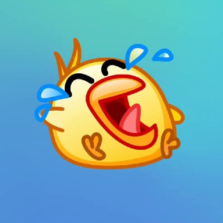 Funny Video Shorts🤣 - TgScanner