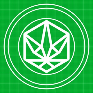 Аватар Телеграм канала "TON HYDRA FORUM" @+24j6_NYbMy5lYTEy