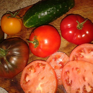 Аватар Телеграм каналу "Минутка Огородника | Линда Мер - с вами! 👍" @minutka_ogorodnika