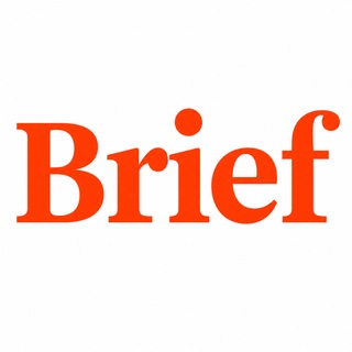 Avatar del canal de Telegram "BRIEF" @briefrus