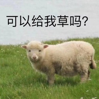 OowoO｜尼好，这是评论区 - TgScanner
