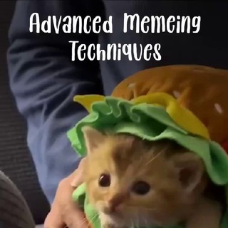 Avatar of Telegram channel "Advanced Memeing Techniques ✙" @advancedmt