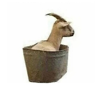 Avatar of Telegram channel "метафизические преколы" @metaprekol