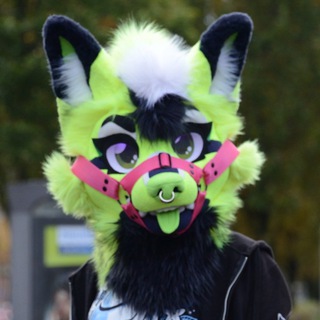 Lumin Fox - TgScanner