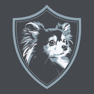 "Лапы прочь" @lapyproch Telegram арнасының аватары