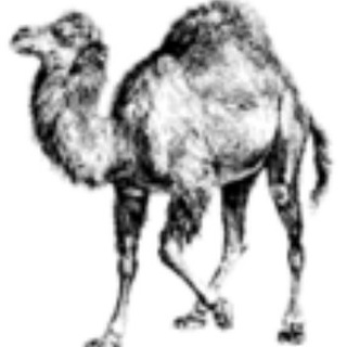 Аватар Телеграм канала "Modern::Perl" @modernperl