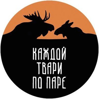 Каждой твари по паре - TgScanner