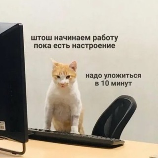 рабочий этыкет - TgScanner