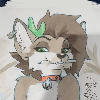 Аватар Телеграм канала "Fox.s_Box" @foxs_box